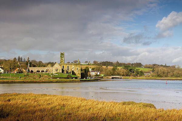 Landscape Photograph - Golden Timoleague Abbey II by Mark Callanan