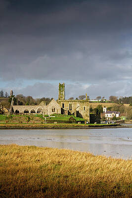 Landscape Photograph - Golden Timoleague Abbey by Mark Callanan