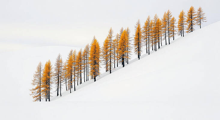 Nature Wall Art featuring the ai art Golden Trees Amidst Snowy Hills by The Luxury Art Collection