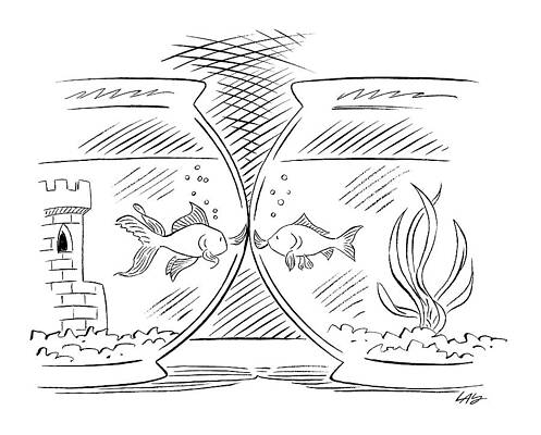 Lonely Wall Art featuring the drawing Goldfish Greeting by Carol Lay