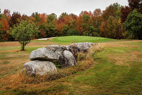 Fall Photograph - Golf Course In Autumn Fog by Craig A Walker