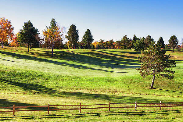 Tree Wall Art featuring the photograph Golf Course October Morning Frost by Tatiana Travelways