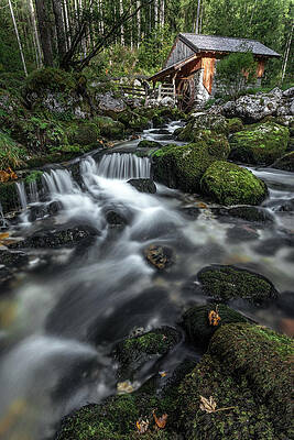 Beautiful Photograph - Gollinger Mill by Todd Wilkinson