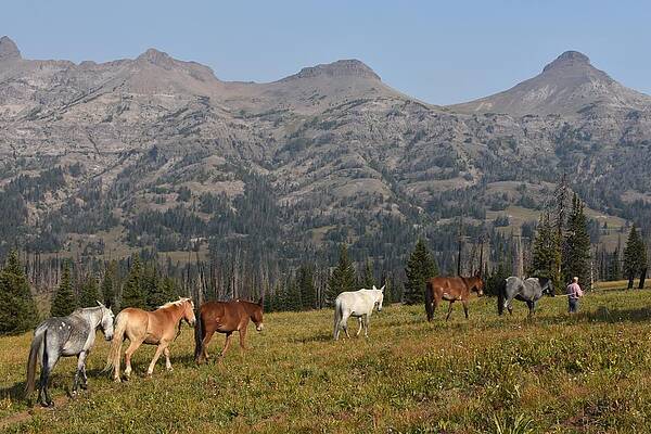 Landscape Photograph - Good Boys And Girl by Alden White Ballard