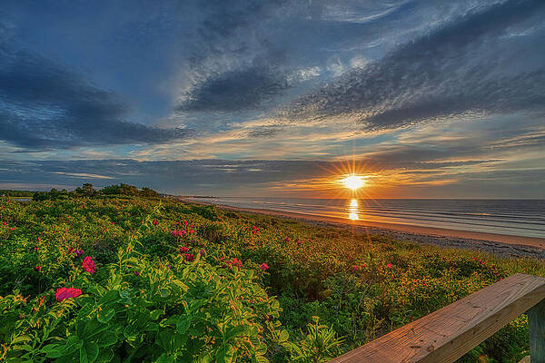 Maine Wall Art featuring the photograph Good Morning Footbridge Beach by Penny Polakoff