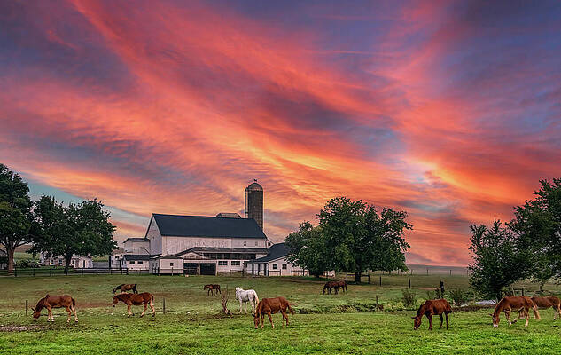 Country Photograph - Good Morning, Lancaster County by Marcy Wielfaert