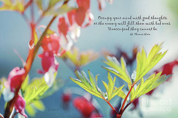 Summer Photograph - Good Thoughts by Macro Abundance