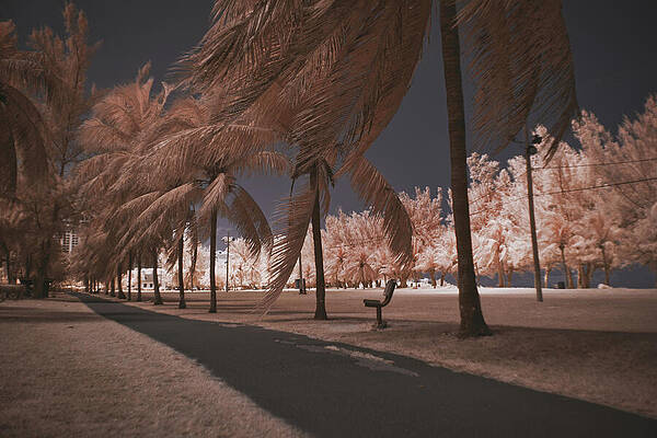 Wall Art featuring the photograph Goodman's Bay 1 by Gian Smith