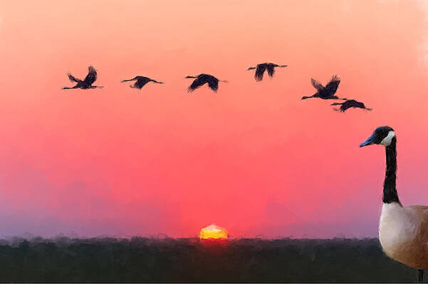 Painting - Goose And Geese by Gary Arnold