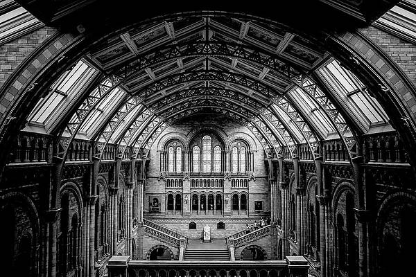 Architecture Wall Art featuring the photograph Gothic Cathedral Architecture by Printed View