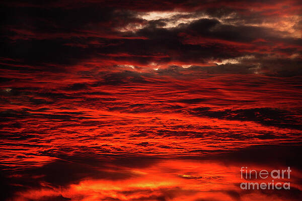 Wall Art featuring the photograph Gourds Of Fire In The Sky by Abigail Diane Photography