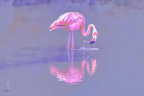 Wall Art featuring the digital art Graceful Flamingo In Tranquil Waters by Bruce Block