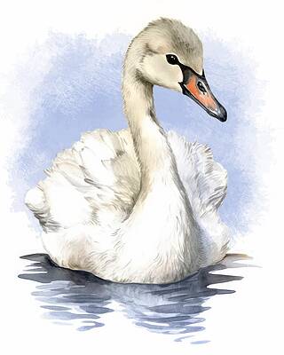 Wall Art featuring the painting Graceful Swan by Land of Dreams