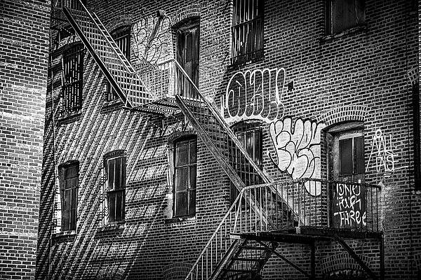 Wall Art featuring the photograph Graffiti And Fire Escapes by Penny Polakoff