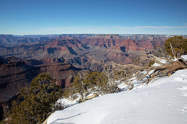 Sunset Photograph - Grand Canyon #8 by Steve Templeton
