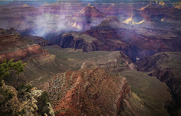 Wall Art featuring the photograph Grand Canyon Afternoon Rain by Rebecca Herranen