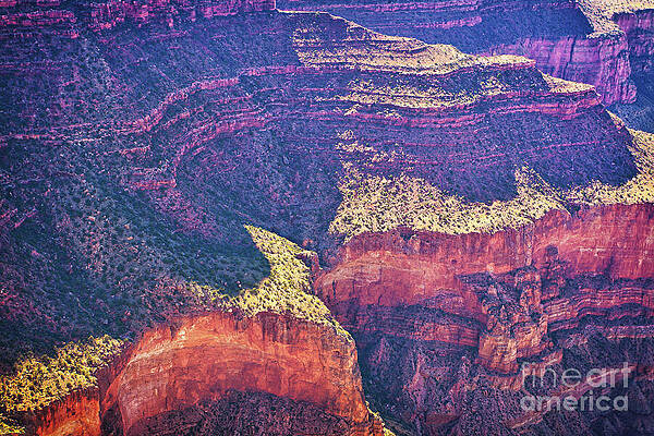 Wall Art featuring the photograph Grand Canyon Arizona 9 by Tatiana Travelways