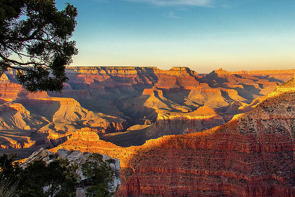 Desert Photograph - Sunset From Mather Point by Craig A Walker