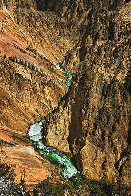 Landscape Photograph - Grand Canyon Of The Yellowstone, Wyoming - Vertical by Abbie Warnock