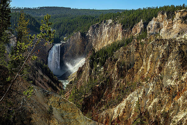 Waterfall Wall Art featuring the photograph Grand Canyon Of Yellowstone by Tim Lyden
