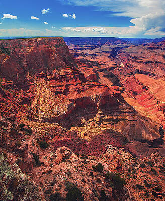 Canyon Photograph - Grand Canyon, Summer, Arizona - Vertical by Abbie Warnock