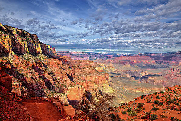 Arizona Photograph - Grand Canyon View by Bob Falcone