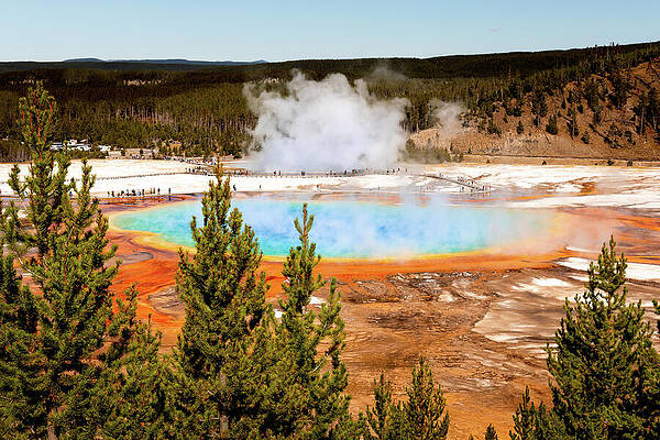 Spring Photograph - Grand Prismatic Spring by Craig A Walker