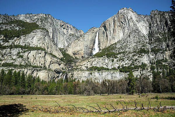 California Wall Art featuring the photograph Grand View Of Yosemite Falls by Diane Moller