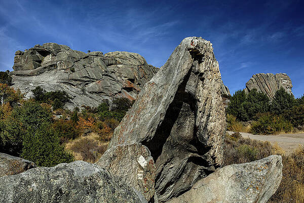 California Wall Art featuring the photograph Granite Erratics by Tim Lyden