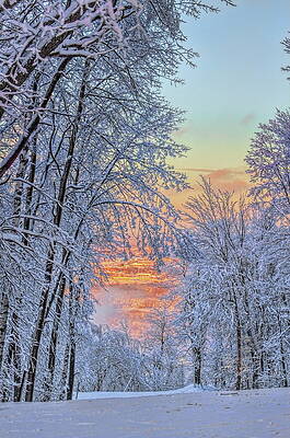 Wall Art featuring the photograph Granite Peak's Elk Run At Sunset by Dale Kauzlaric
