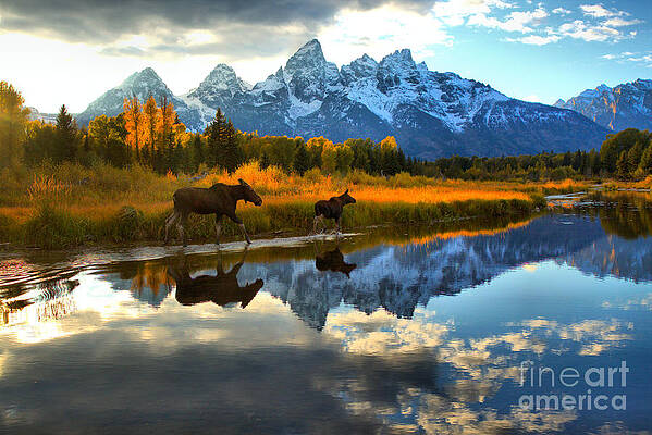 Wilderness Wall Art featuring the photograph Grand Teton National Park Autumn Stroll by Adam Jewell