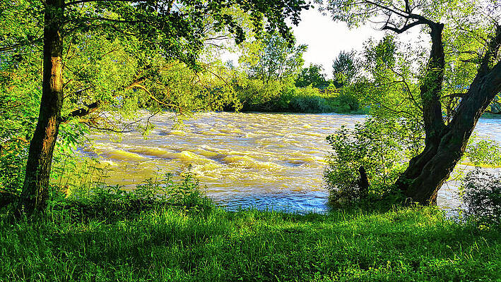 Photograph - Grass And Trees On The Banks Of A Flooded River - Photo by Nicko Prints