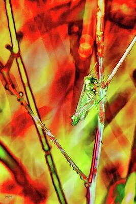 Wall Art featuring the digital art Grasshopper - Lichen Texture by Bruce Block