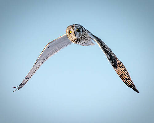 Large Photograph - Grassland Ghost by James Overesch