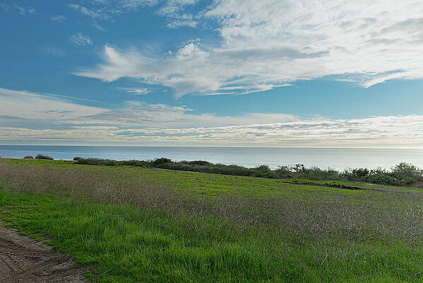 Wall Art featuring the photograph Grassy Field Overlooking The Pacific Ocean by Matthew DeGrushe