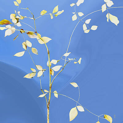 Digital Art - Gratia by Gina Harrison