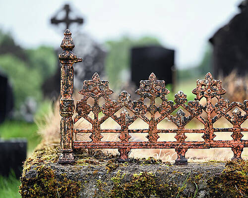 Wall Art featuring the photograph Grave Iron by Steven Nelson