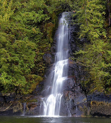 Wall Art featuring the photograph Great Bear by Bob Falcone