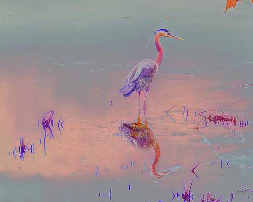 Wall Art featuring the photograph Great Blue Heron by Bruce Block