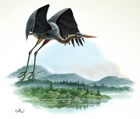 Nature Wall Art featuring the painting Great Blue Heron by Don Balke