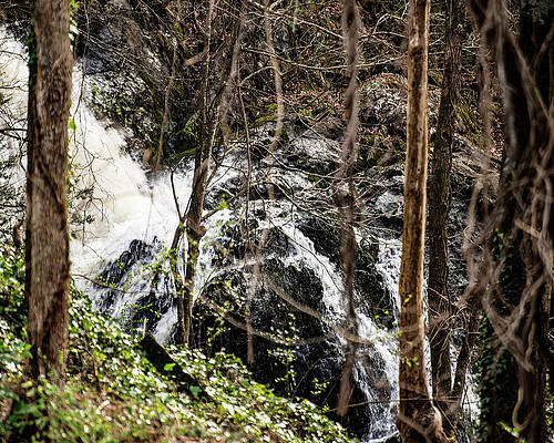 Wall Art featuring the photograph Great Falls - Rockingham 01 by Flees Photos