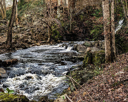 Wall Art featuring the photograph Great Falls - Rockingham - 05 by Flees Photos