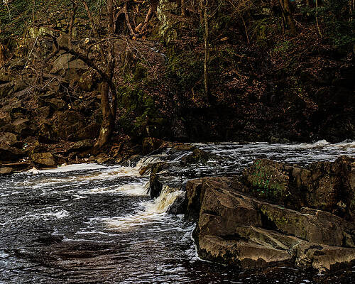 Wall Art featuring the photograph Great Falls - Rockingham - 07 by Flees Photos