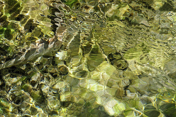 Wall Art featuring the photograph Green Abstract Water Gems by Sunniye Buesing