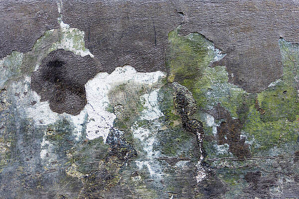 Urban Wall Art featuring the pyrography Green And White On Stone by Chad Thunberg