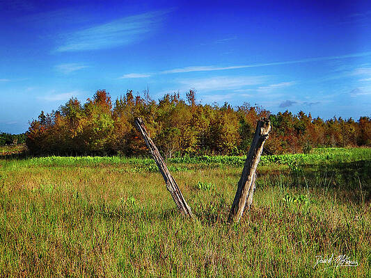 Photograph - Green Cay Wetlands Florida by David McKinney