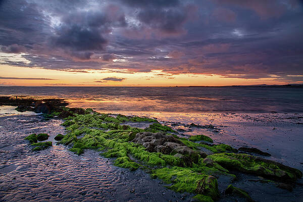 Reflection Wall Art featuring the photograph Green Highlights On Orange Sunset by Mark Callanan
