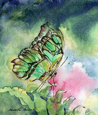 Wall Art featuring the painting Green Malachite Butterfly by Amanda Amend