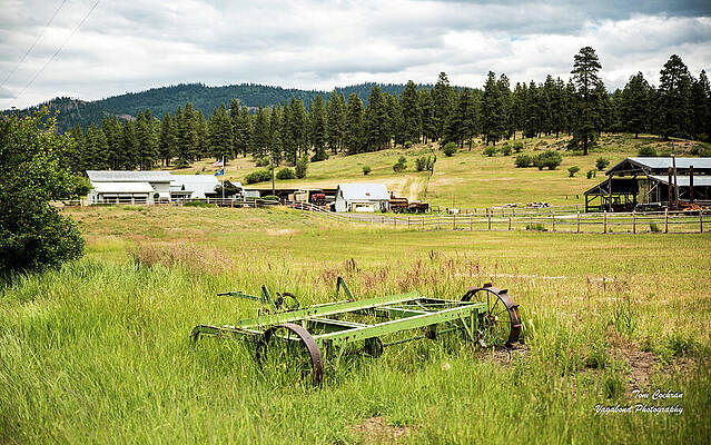 Wall Art featuring the photograph Green Mower In Teanaway by Tom Cochran