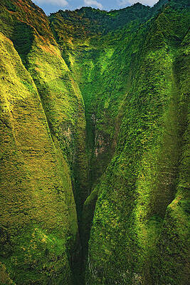 Paradise Photograph - Green Ravine - Kauai, Hawaii - Vertical by Abbie Warnock